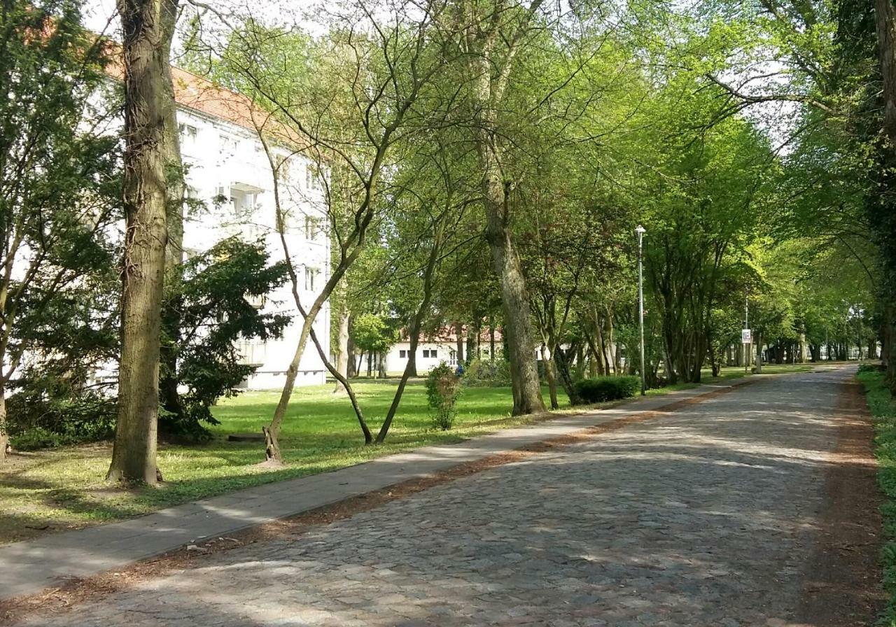 Ferienwohnung "Am Schlosspark" Neetzow Exterior foto